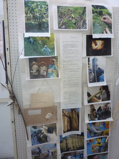 P1000509.jpg