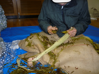 P1000537.JPG