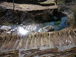 P1000549.JPG