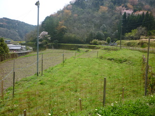 P1000692.JPG