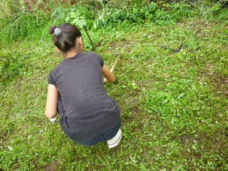 P1000933.JPG