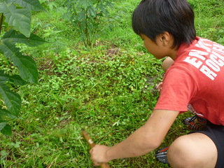 P1000934.JPG