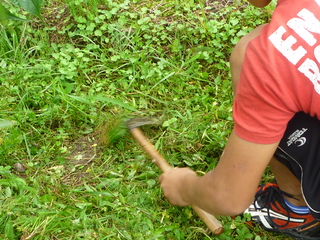 P1000935.JPG