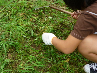 P1000937.JPG