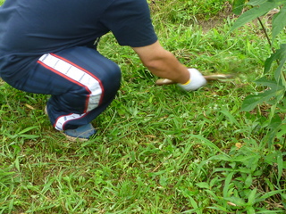 P1000938.JPG