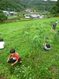 P1000939.jpg