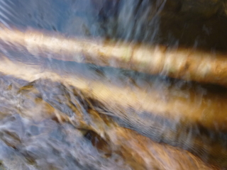 P1000979.JPG