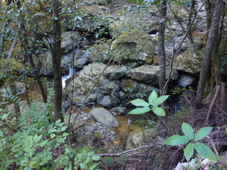 P1010301.JPG