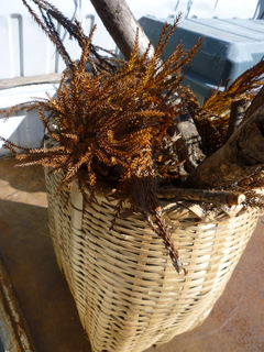 P1010302.jpg