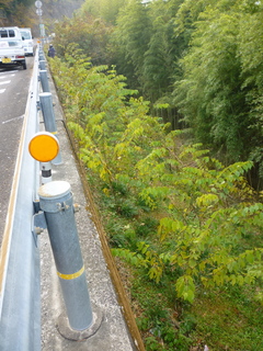 P1010343.jpg