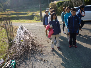 P1010351.JPG