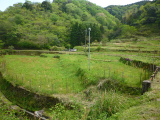 P1010715.JPG