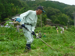 P1020440.JPG