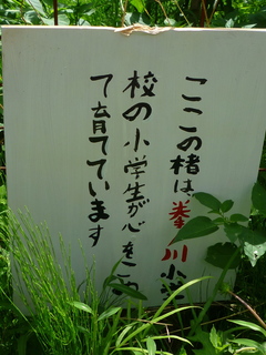 P1020464.jpg
