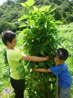 P1020465.jpg