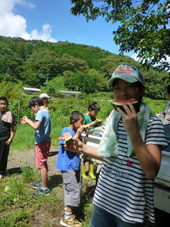 P1020466.jpg